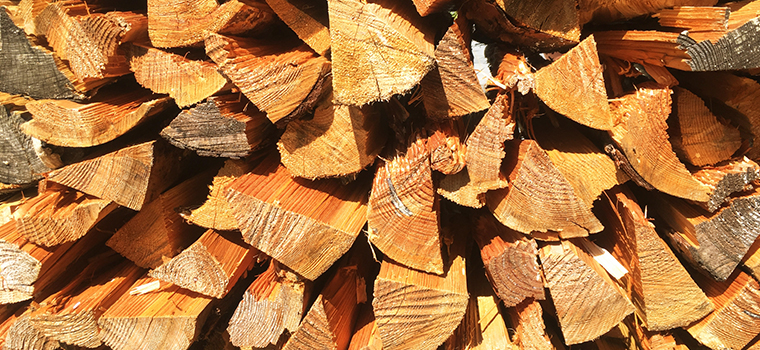 薪に使用する樹木の種類は、2種類、広葉樹と針葉樹があります。薪に適しているものは、一般的にはナラ・クヌギといった広葉樹が適している、と言われることが多いですが、実は、薪に樹木の種類は関係ありません。
