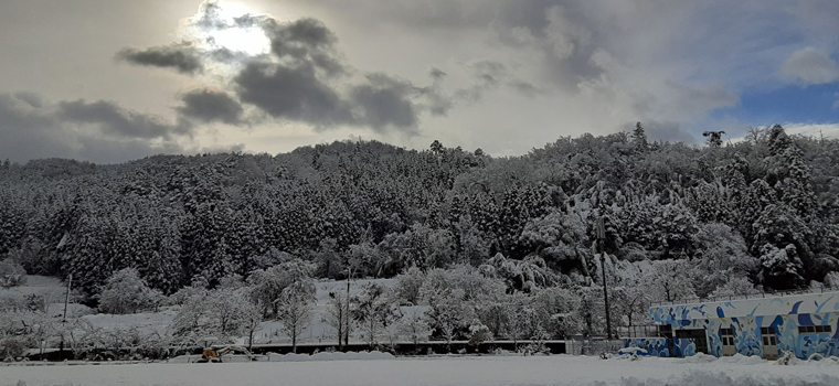 12月15日本日の鳥取県は一面雪景色